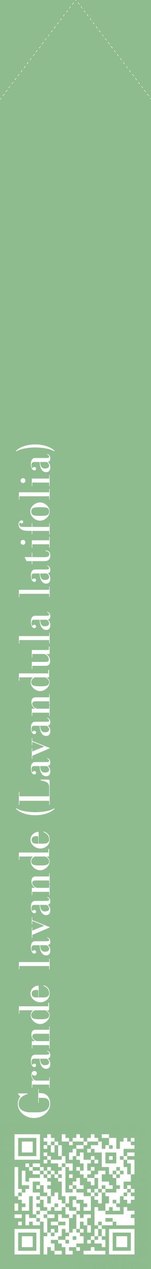 Étiquette de : Lavandula latifolia - format c - style blanche13_simplebod avec qrcode et comestibilité