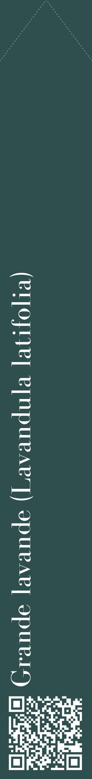 Étiquette de : Lavandula latifolia - format c - style blanche58_simplebod avec qrcode et comestibilité