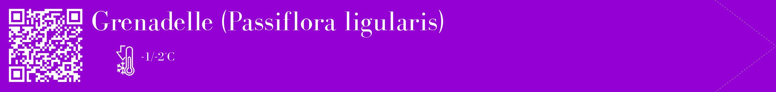Étiquette de : Passiflora ligularis - format c - style blanche48_simple_simplebod avec qrcode et comestibilité