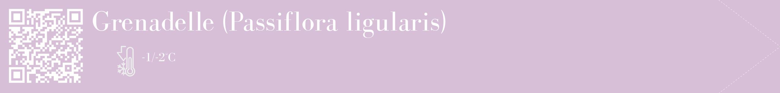 Étiquette de : Passiflora ligularis - format c - style blanche54_simple_simplebod avec qrcode et comestibilité