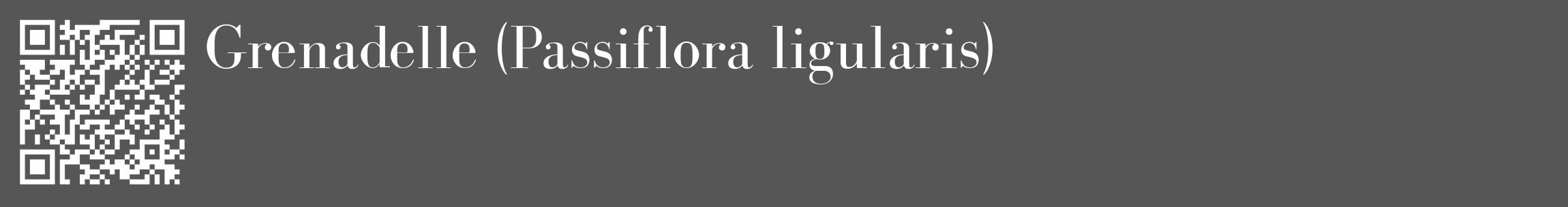 Étiquette de : Passiflora ligularis - format c - style blanche45_basique_basiquebod avec qrcode et comestibilité