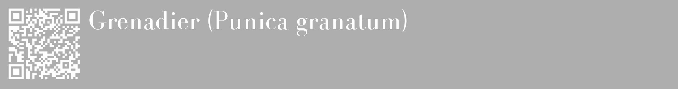 Étiquette de : Punica granatum - format c - style blanche53_basique_basiquebod avec qrcode et comestibilité