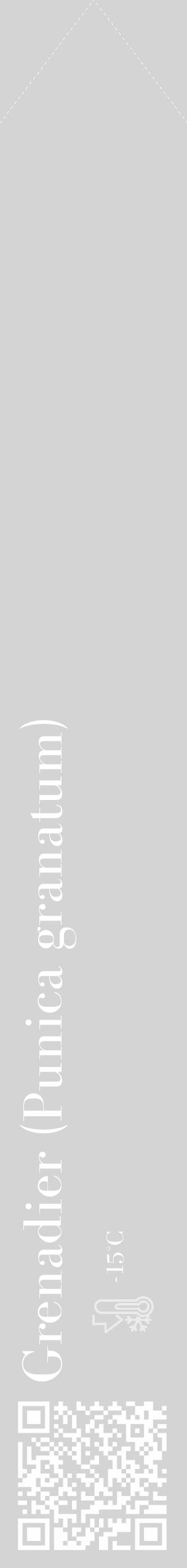 Étiquette de : Punica granatum - format c - style blanche40_simple_simplebod avec qrcode et comestibilité - position verticale