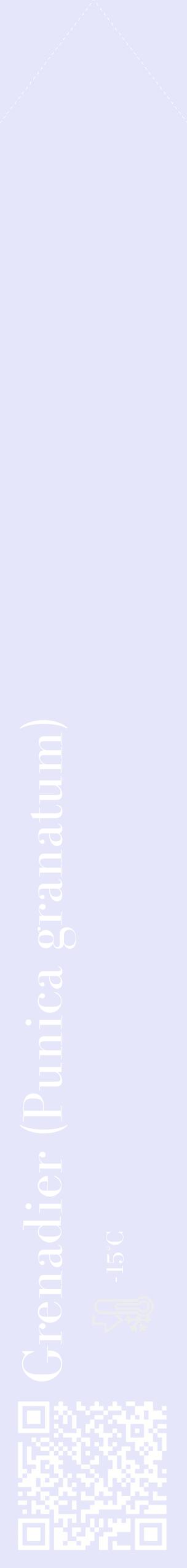 Étiquette de : Punica granatum - format c - style blanche55_simple_simplebod avec qrcode et comestibilité - position verticale