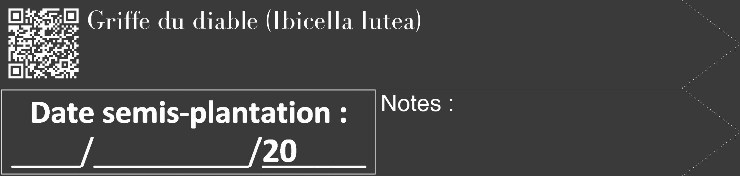Étiquette de : Ibicella lutea - format c - style blanche8_simple_simplebod avec qrcode et comestibilité
