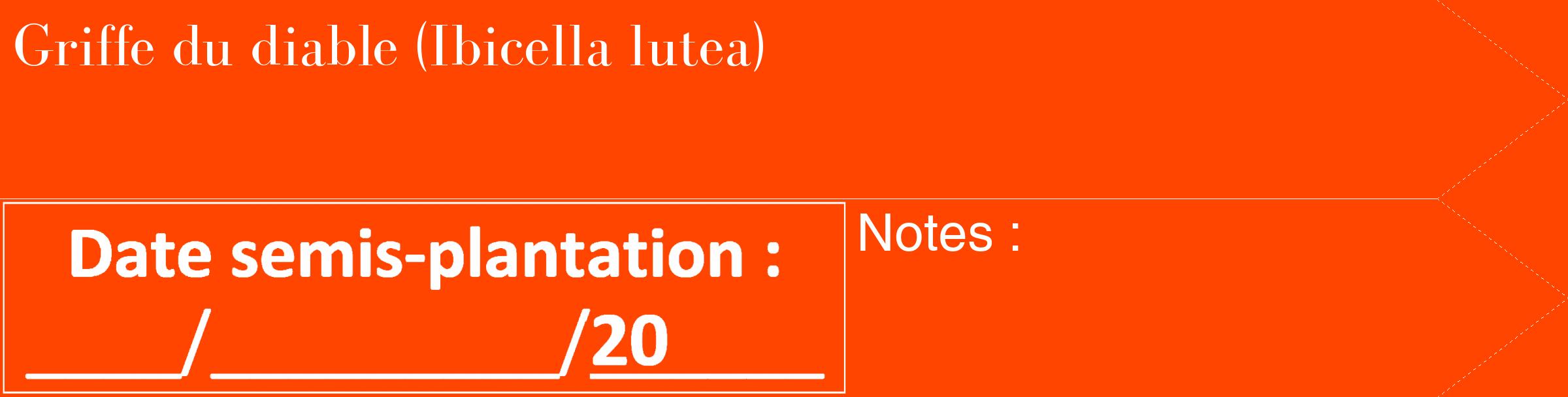 Étiquette de : Ibicella lutea - format c - style blanche26_simple_simplebod avec comestibilité