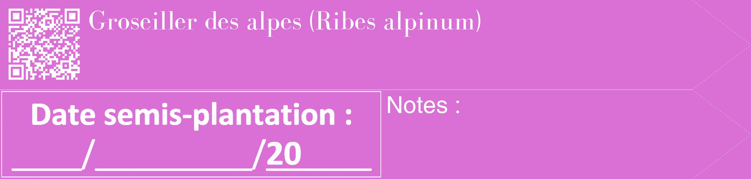 Étiquette de : Ribes alpinum - format c - style blanche52_simple_simplebod avec qrcode et comestibilité