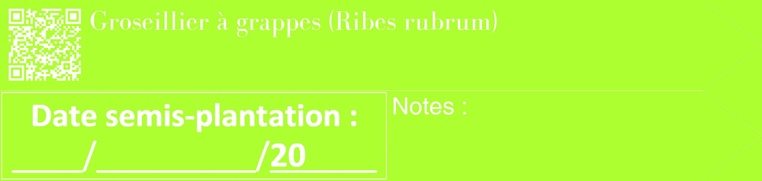 Étiquette de : Ribes rubrum - format c - style blanche17_simple_simplebod avec qrcode et comestibilité