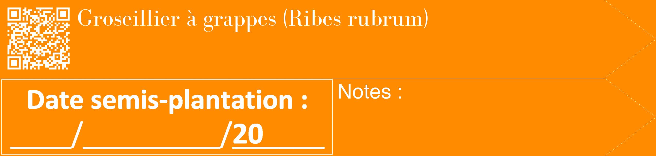 Étiquette de : Ribes rubrum - format c - style blanche23_simple_simplebod avec qrcode et comestibilité
