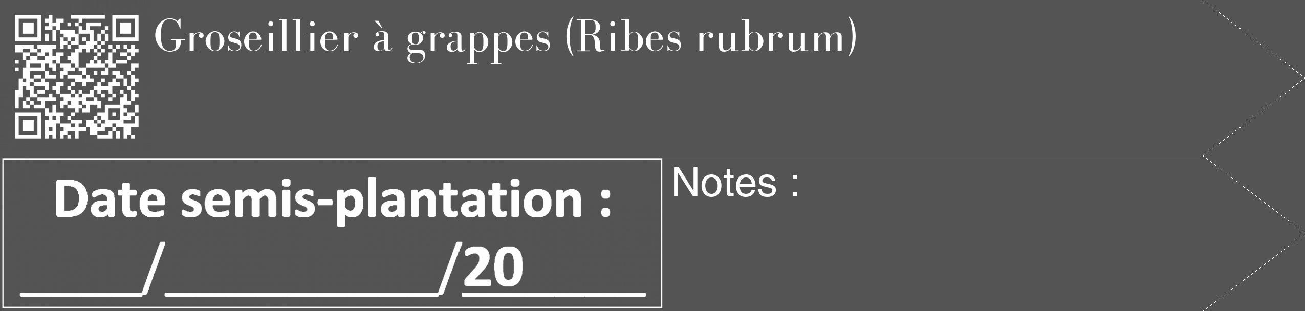 Étiquette de : Ribes rubrum - format c - style blanche30_simple_simplebod avec qrcode et comestibilité