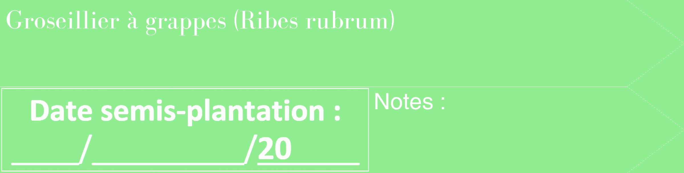 Étiquette de : Ribes rubrum - format c - style blanche15_simple_simplebod avec comestibilité