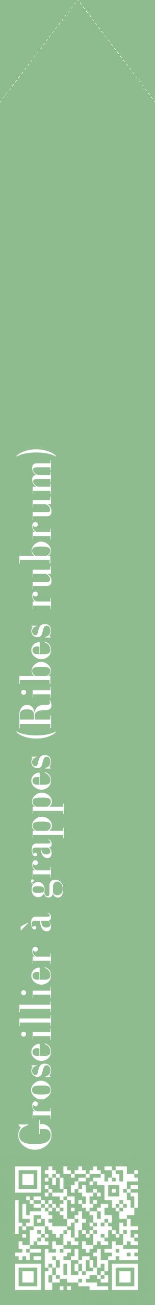 Étiquette de : Ribes rubrum - format c - style blanche13_simplebod avec qrcode et comestibilité