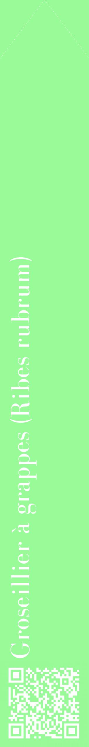 Étiquette de : Ribes rubrum - format c - style blanche14_simplebod avec qrcode et comestibilité