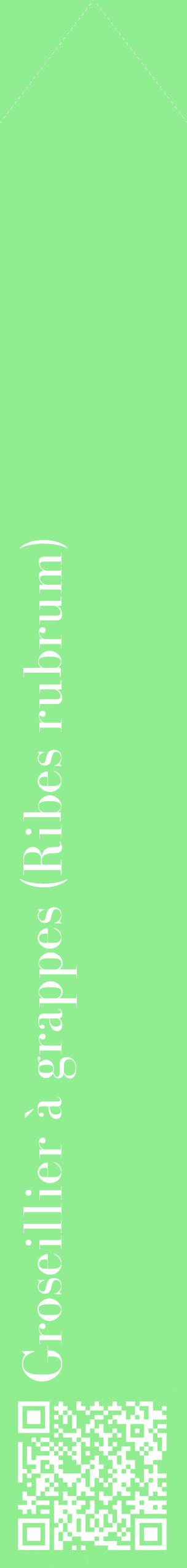 Étiquette de : Ribes rubrum - format c - style blanche15_simplebod avec qrcode et comestibilité