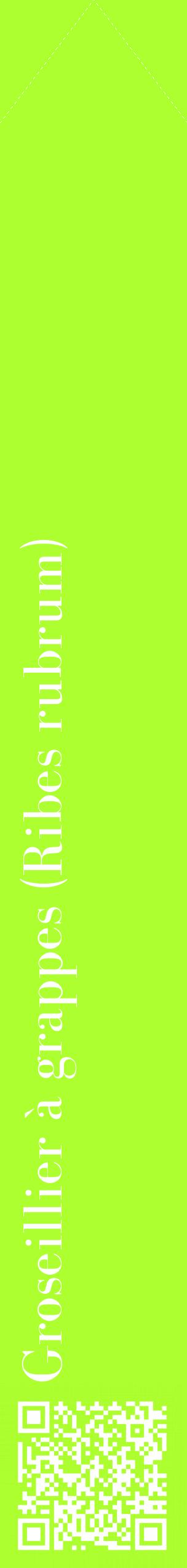 Étiquette de : Ribes rubrum - format c - style blanche17_simplebod avec qrcode et comestibilité