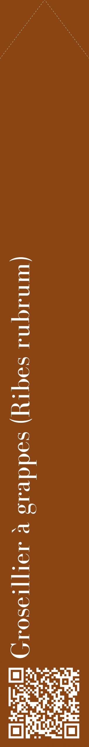 Étiquette de : Ribes rubrum - format c - style blanche30_simplebod avec qrcode et comestibilité