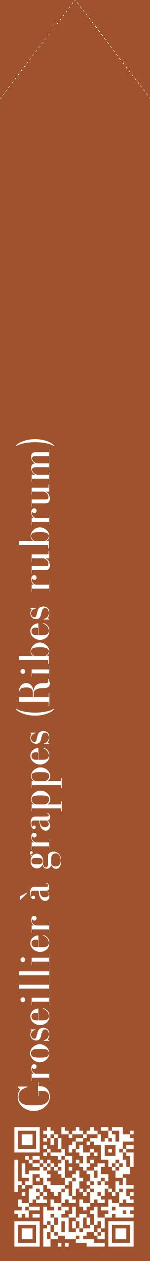 Étiquette de : Ribes rubrum - format c - style blanche32_simplebod avec qrcode et comestibilité
