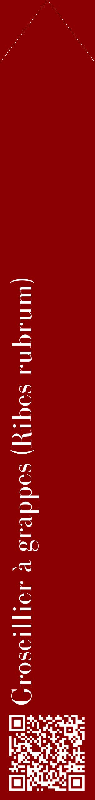 Étiquette de : Ribes rubrum - format c - style blanche34_simplebod avec qrcode et comestibilité