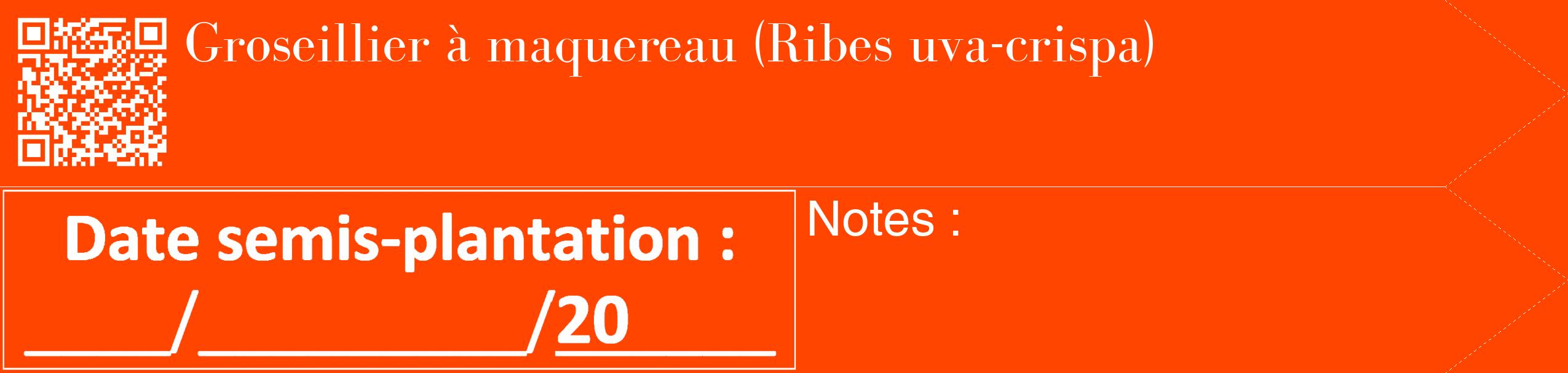 Étiquette de : Ribes uva-crispa - format c - style blanche26_simple_simplebod avec qrcode et comestibilité