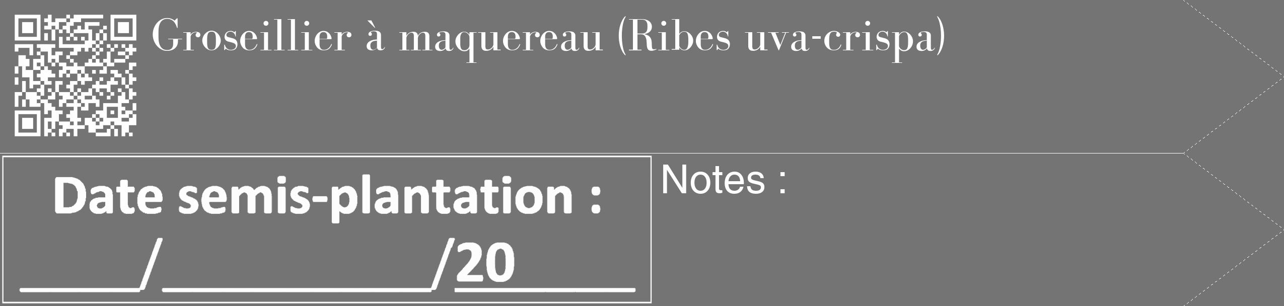 Étiquette de : Ribes uva-crispa - format c - style blanche26_simple_simplebod avec qrcode et comestibilité