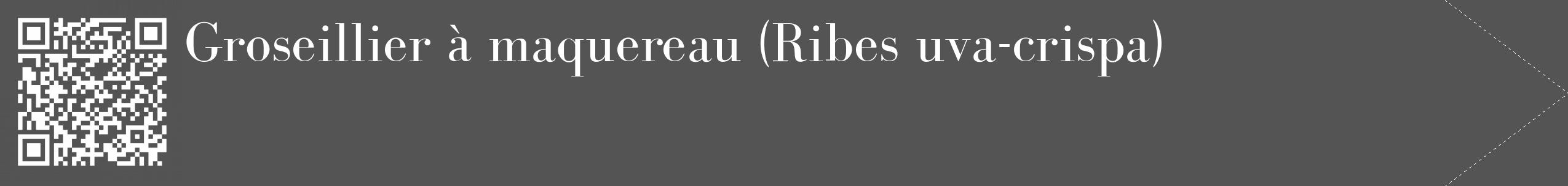 Étiquette de : Ribes uva-crispa - format c - style blanche30_simple_simplebod avec qrcode et comestibilité