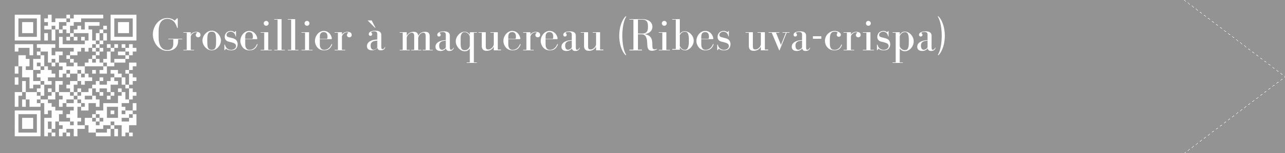 Étiquette de : Ribes uva-crispa - format c - style blanche44_simple_simplebod avec qrcode et comestibilité