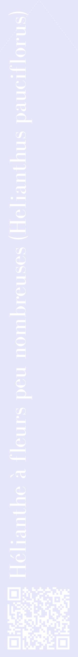 Étiquette de : Helianthus pauciflorus - format c - style blanche55_simplebod avec qrcode et comestibilité