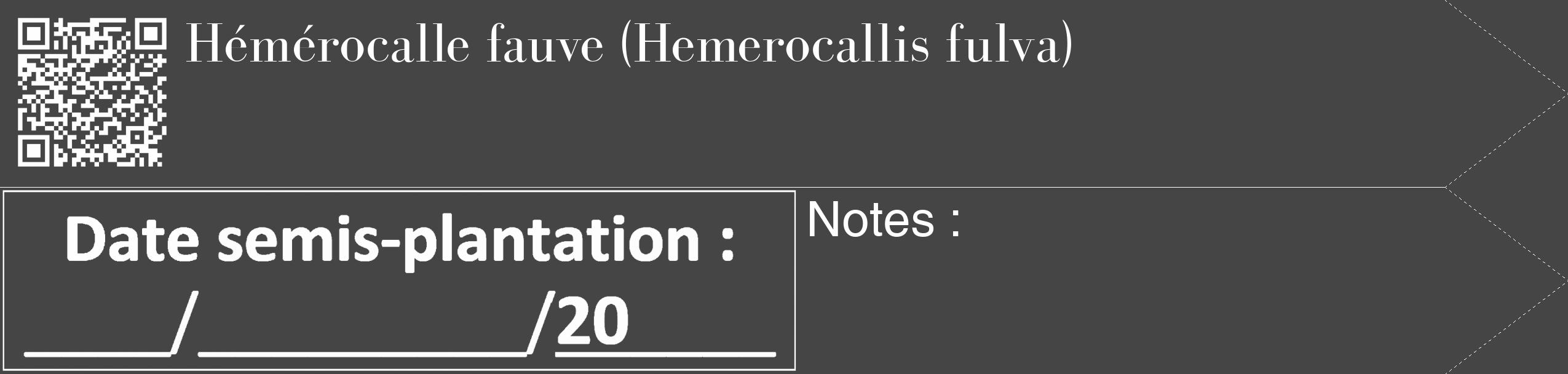 Étiquette de : Hemerocallis fulva - format c - style blanche58_simple_simplebod avec qrcode et comestibilité