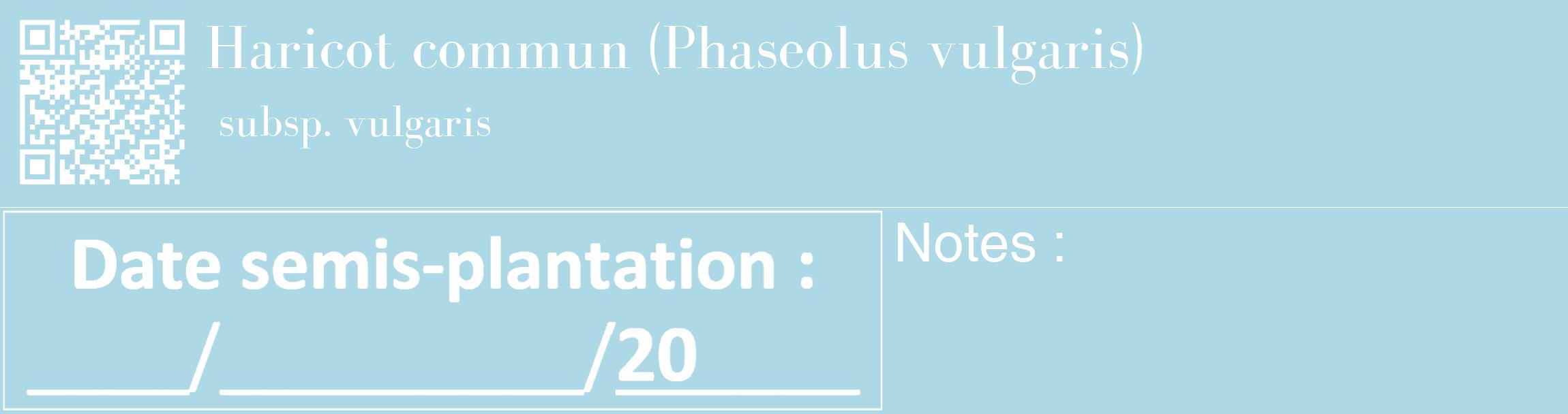 Étiquette de : Phaseolus vulgaris subsp. vulgaris - format c - style blanche0_basique_basiquebod avec qrcode et comestibilité
