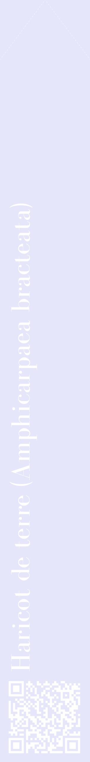 Étiquette de : Amphicarpaea bracteata - format c - style blanche55_simplebod avec qrcode et comestibilité
