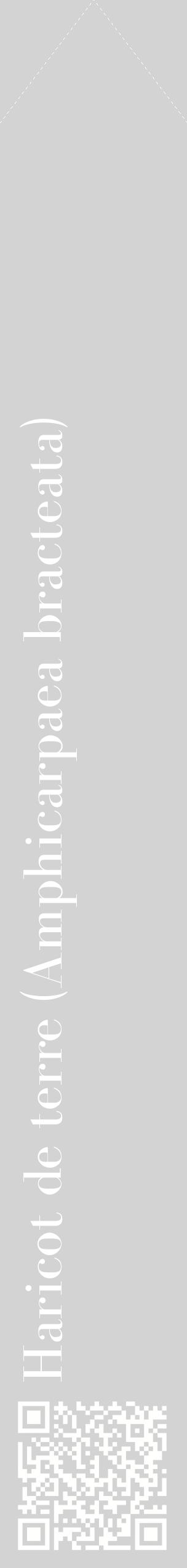 Étiquette de : Amphicarpaea bracteata - format c - style blanche56_simplebod avec qrcode et comestibilité