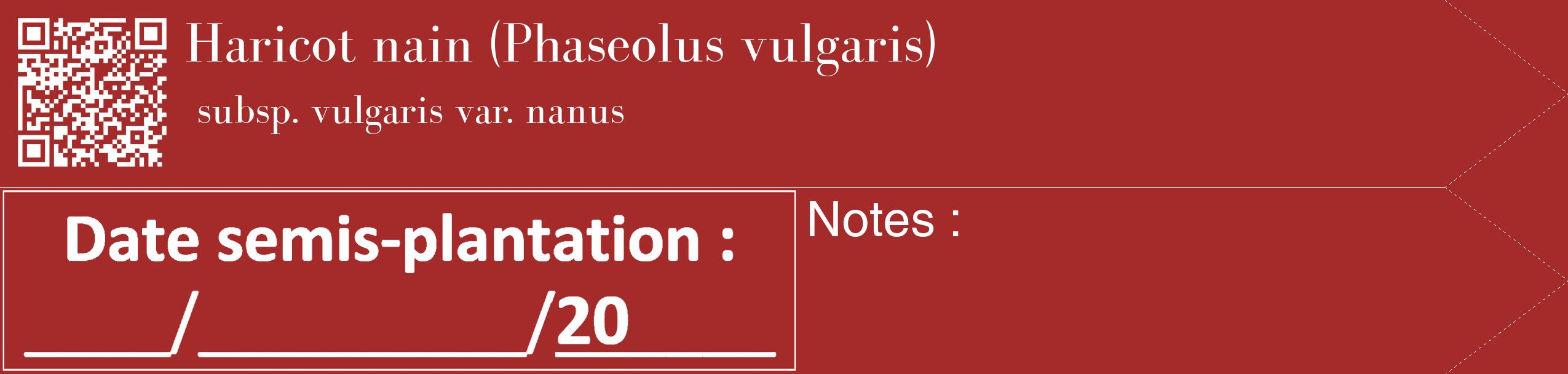 Étiquette de : Phaseolus vulgaris subsp. vulgaris var. nanus - format c - style blanche33_simple_simplebod avec qrcode et comestibilité