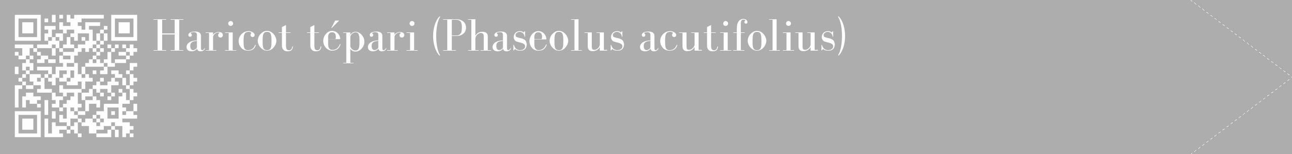 Étiquette de : Phaseolus acutifolius - format c - style blanche22_simple_simplebod avec qrcode et comestibilité