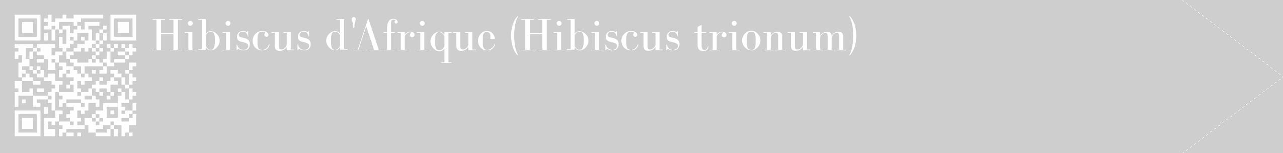 Étiquette de : Hibiscus trionum - format c - style blanche17_simple_simplebod avec qrcode et comestibilité
