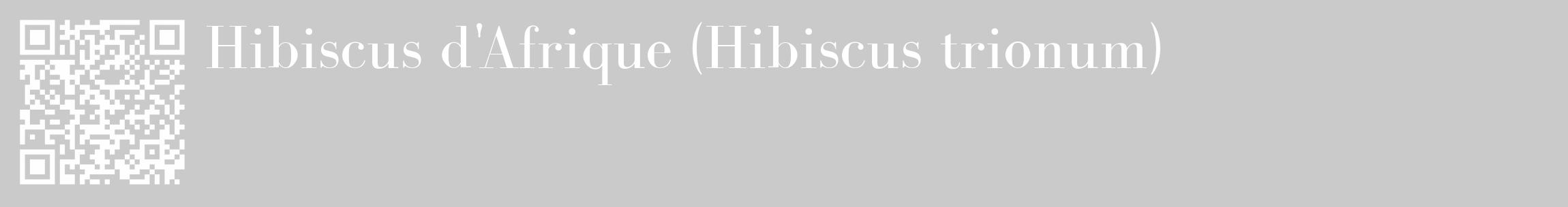 Étiquette de : Hibiscus trionum - format c - style blanche21_basique_basiquebod avec qrcode et comestibilité