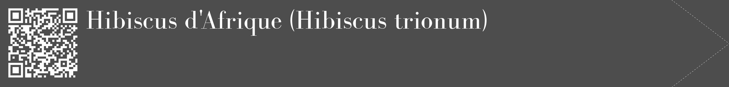Étiquette de : Hibiscus trionum - format c - style blanche28_simple_simplebod avec qrcode et comestibilité