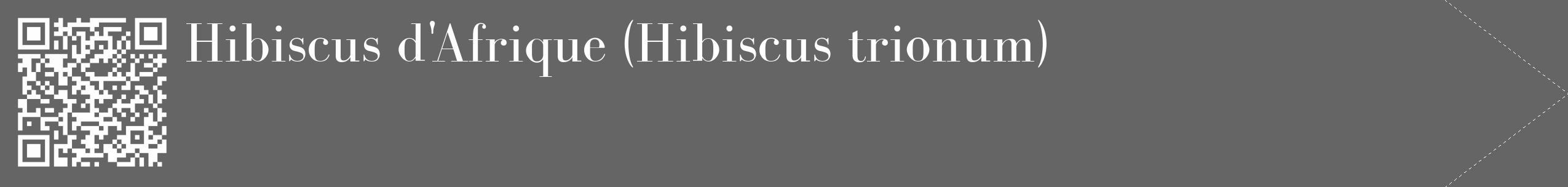 Étiquette de : Hibiscus trionum - format c - style blanche32_simple_simplebod avec qrcode et comestibilité