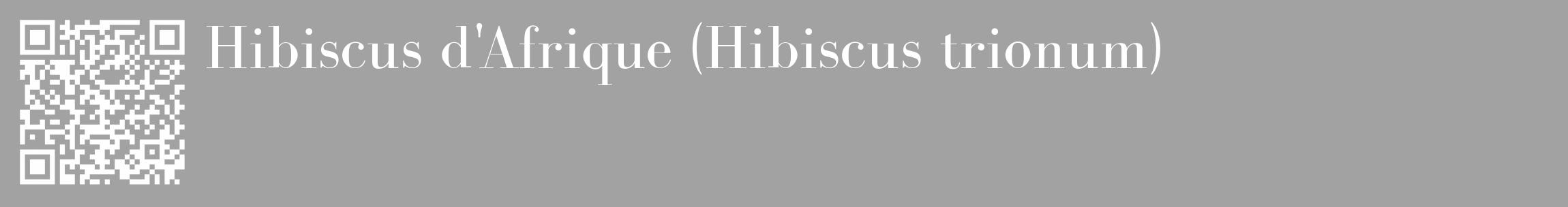Étiquette de : Hibiscus trionum - format c - style blanche38_basique_basiquebod avec qrcode et comestibilité