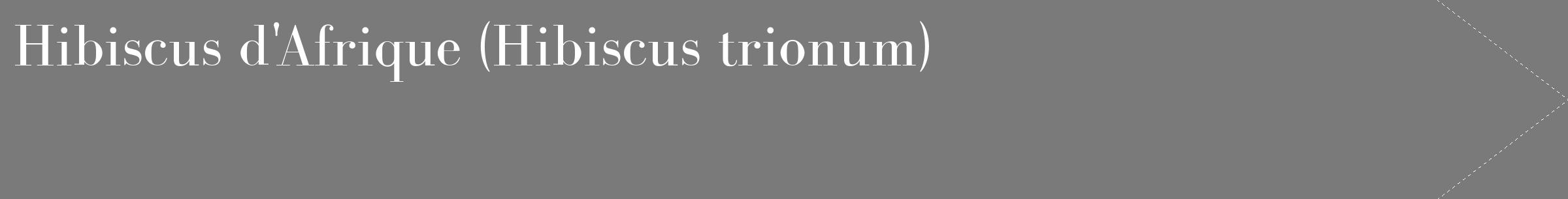 Étiquette de : Hibiscus trionum - format c - style blanche3_simple_simplebod avec comestibilité