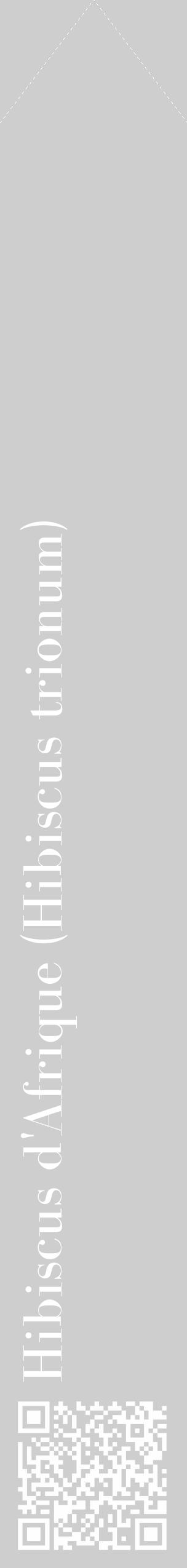 Étiquette de : Hibiscus trionum - format c - style blanche17_simple_simplebod avec qrcode et comestibilité - position verticale