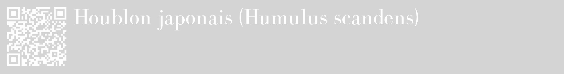 Étiquette de : Humulus scandens - format c - style blanche40_basique_basiquebod avec qrcode et comestibilité