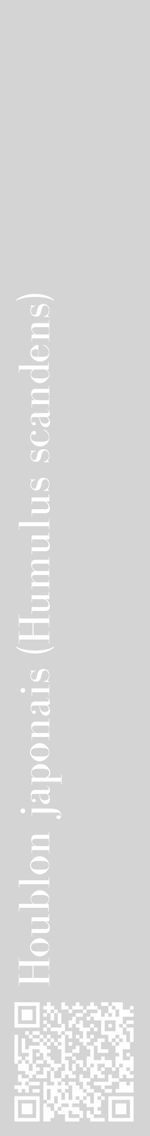 Étiquette de : Humulus scandens - format c - style blanche40_basique_basiquebod avec qrcode et comestibilité - position verticale