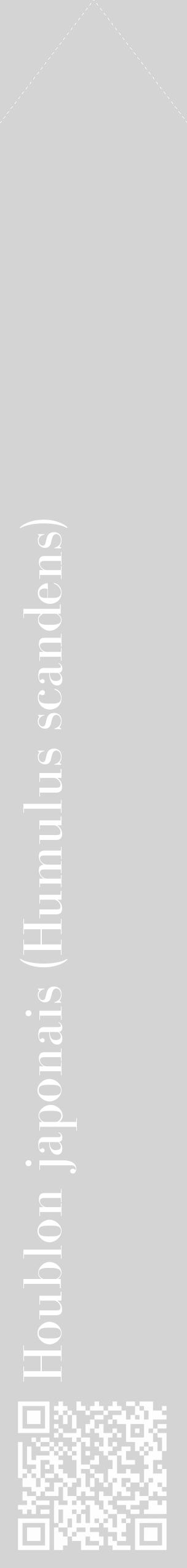 Étiquette de : Humulus scandens - format c - style blanche40_simple_simplebod avec qrcode et comestibilité - position verticale