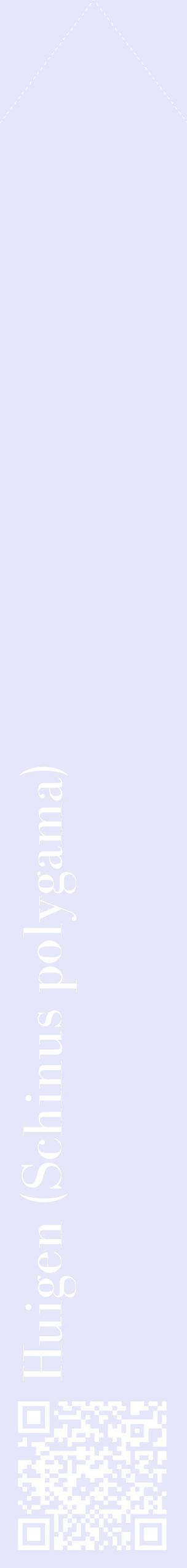 Étiquette de : Schinus polygama - format c - style blanche55_simplebod avec qrcode et comestibilité