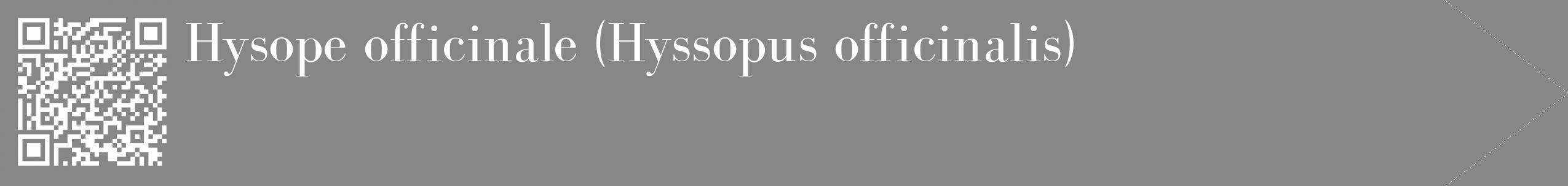 Étiquette de : Hyssopus officinalis - format c - style blanche12_simple_simplebod avec qrcode et comestibilité