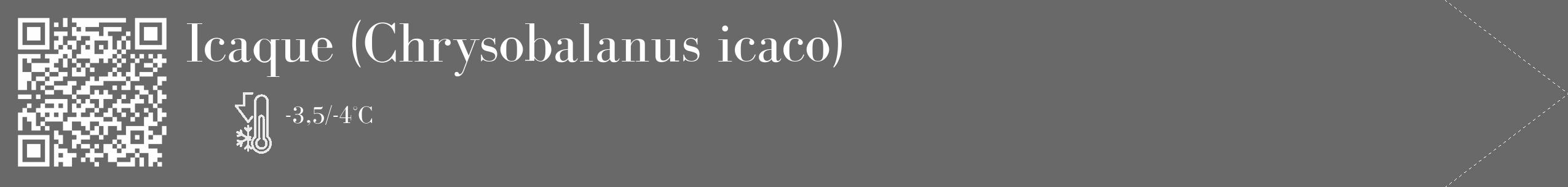 Étiquette de : Chrysobalanus icaco - format c - style blanche51_simple_simplebod avec qrcode et comestibilité