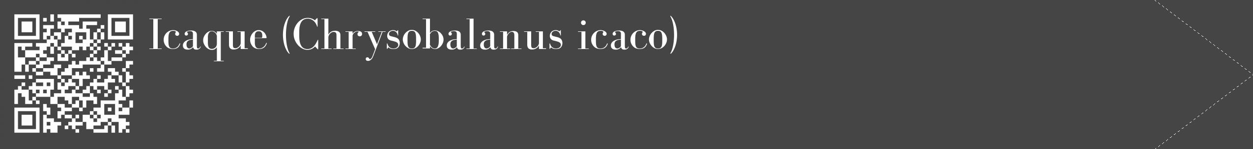 Étiquette de : Chrysobalanus icaco - format c - style blanche58_simple_simplebod avec qrcode et comestibilité