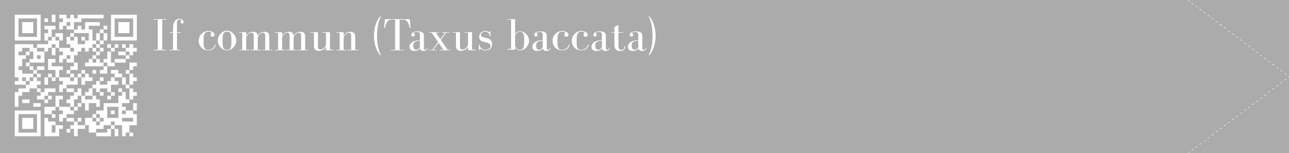 Étiquette de : Taxus baccata - format c - style blanche37_simple_simplebod avec qrcode et comestibilité