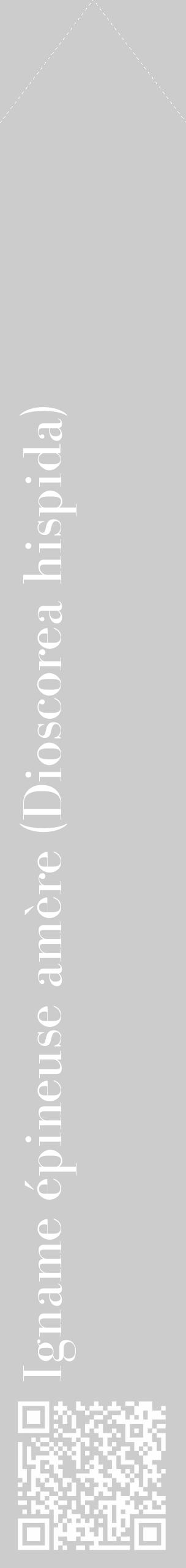 Étiquette de : Dioscorea hispida - format c - style blanche0_simple_simplebod avec qrcode et comestibilité - position verticale