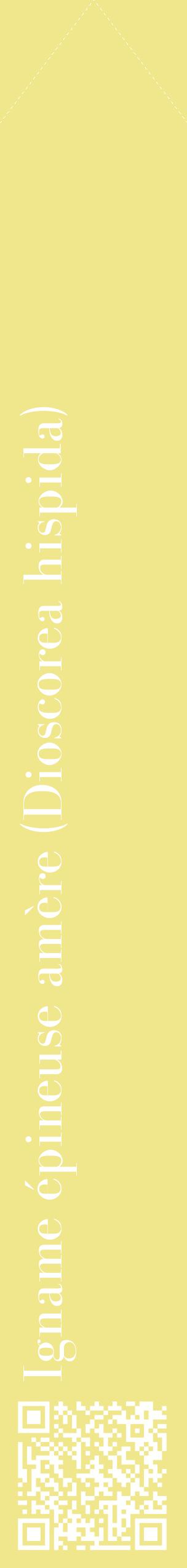 Étiquette de : Dioscorea hispida - format c - style blanche20_simplebod avec qrcode et comestibilité